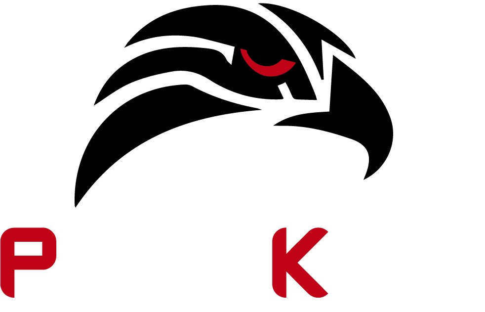 Proteksur